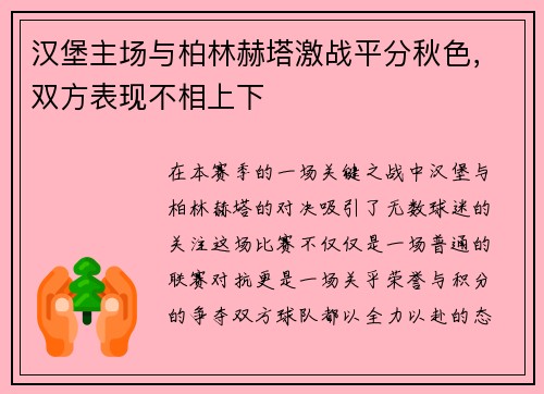 汉堡主场与柏林赫塔激战平分秋色，双方表现不相上下